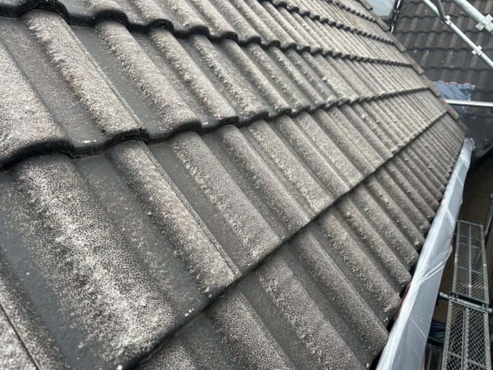 屋根塗装/施工前