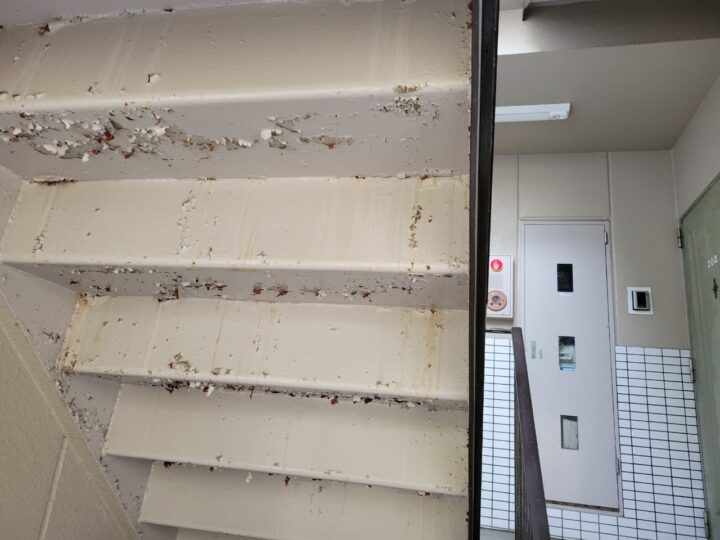 階段塗装/施工前